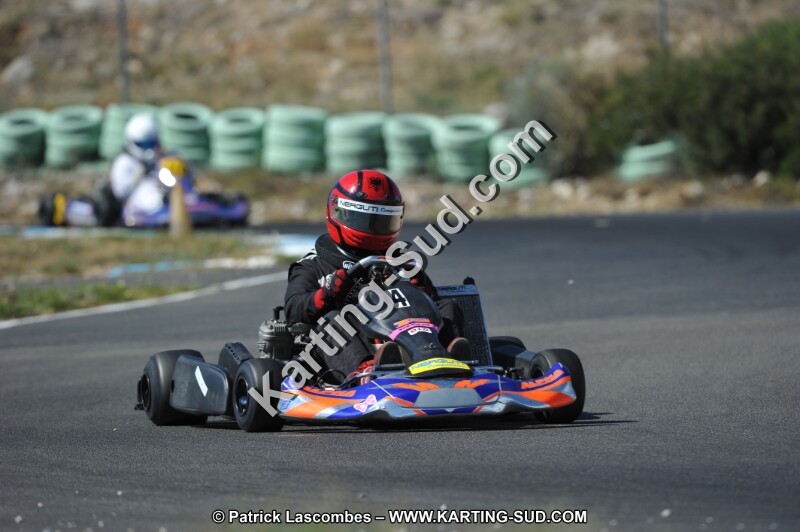 DSC (961).JPG